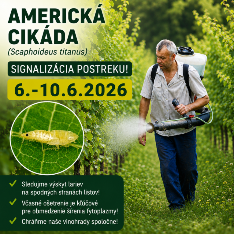 Signalizácia americká cikáda